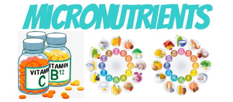 Micronutrients-Picture-Centered-1024x451